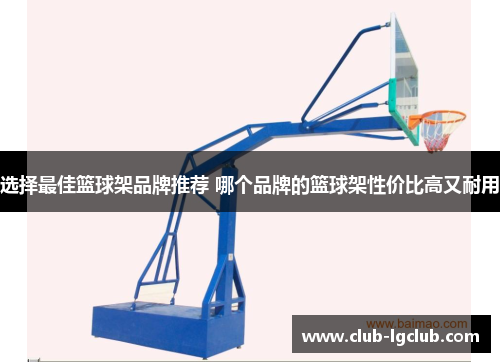 选择最佳篮球架品牌推荐 哪个品牌的篮球架性价比高又耐用
