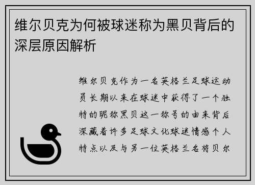 维尔贝克为何被球迷称为黑贝背后的深层原因解析 维尔贝克为何被球迷称为黑贝背后的深层原因解析