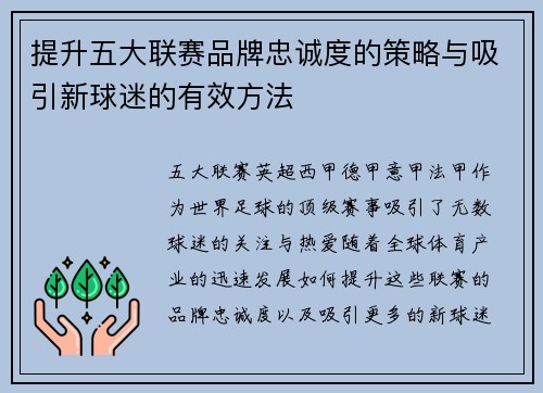 提升五大联赛品牌忠诚度的策略与吸引新球迷的有效方法