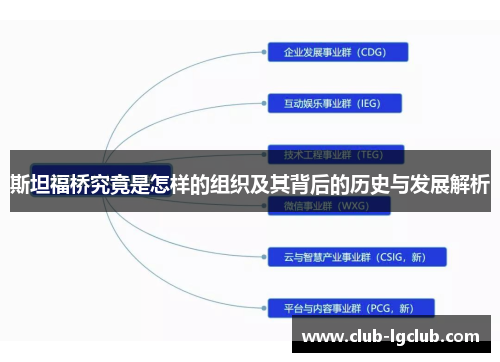斯坦福桥究竟是怎样的组织及其背后的历史与发展解析